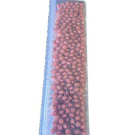 REGALIZ RELL.PICA FRUTOS ROJOS 200ud K.REGAL 2