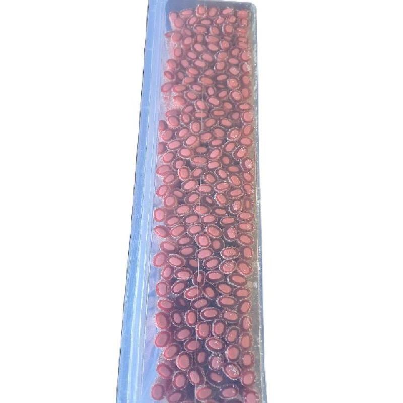 REGALIZ RELL.PICA FRUTOS ROJOS 200ud K.REGAL