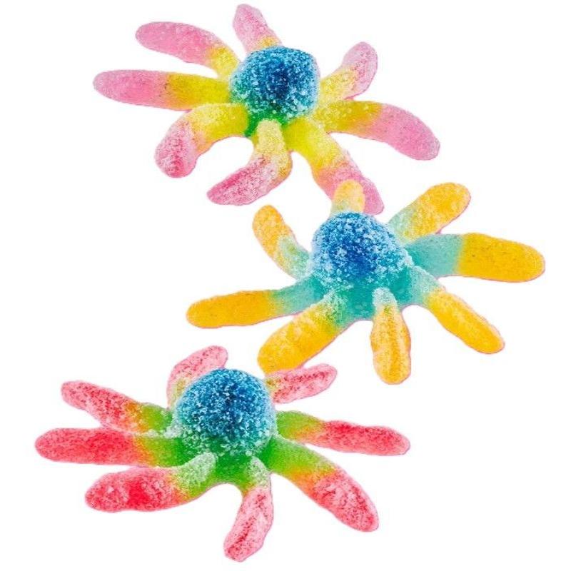 B/1kg OCTOPUS PICA TROLLI