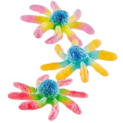 12x100 OCTOPUS PICA TROLLI 2