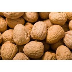 F/S B/10kg NUEZ CASCARA JUMBO USA