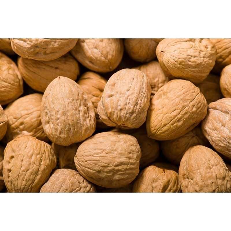 F/S B/10kg NUEZ CASCARA JUMBO USA