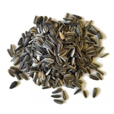 F/S 3kg PIPAS XL CRUDA                FRUTOS SECOS