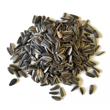 F/S 3kg PIPAS XL CRUDA