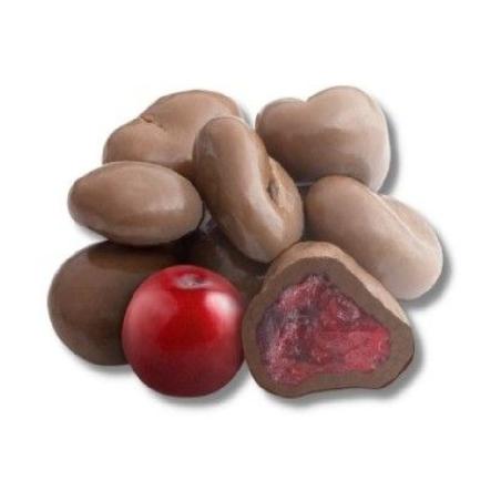 TARRINA ARANDANO CHOCO 150 gr