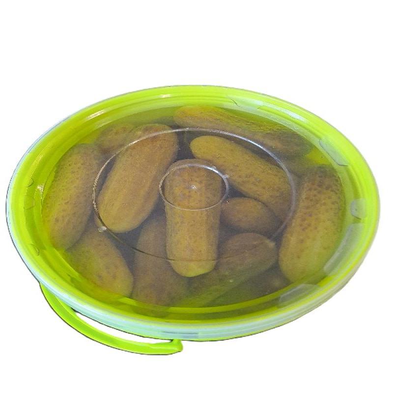 PEPINOS SABOR ANCHOA "TARRO VERDE" 2Kg